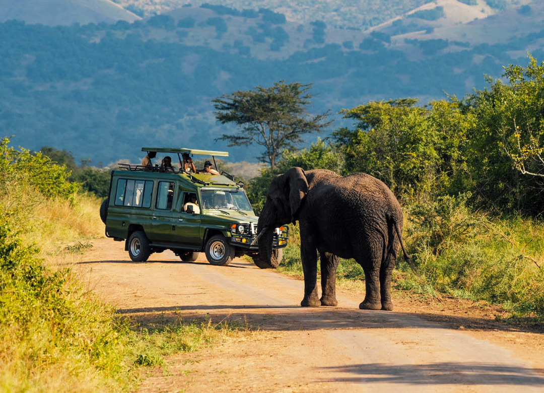 3-days-akagera-national-park-safari 3-days-akagera-national-park-safari