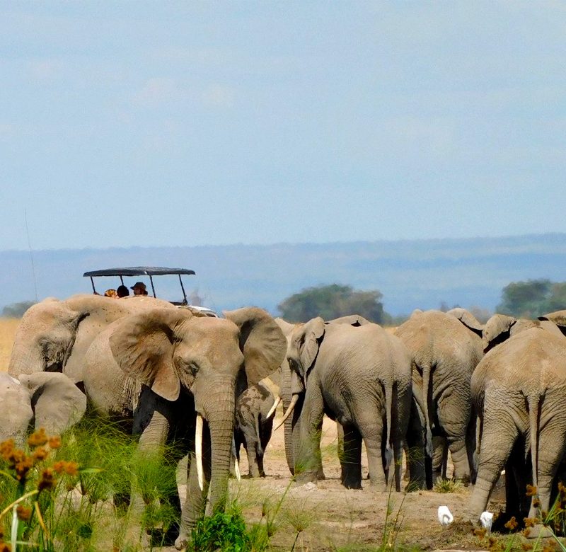 3-days-amboseli-national-park-tour