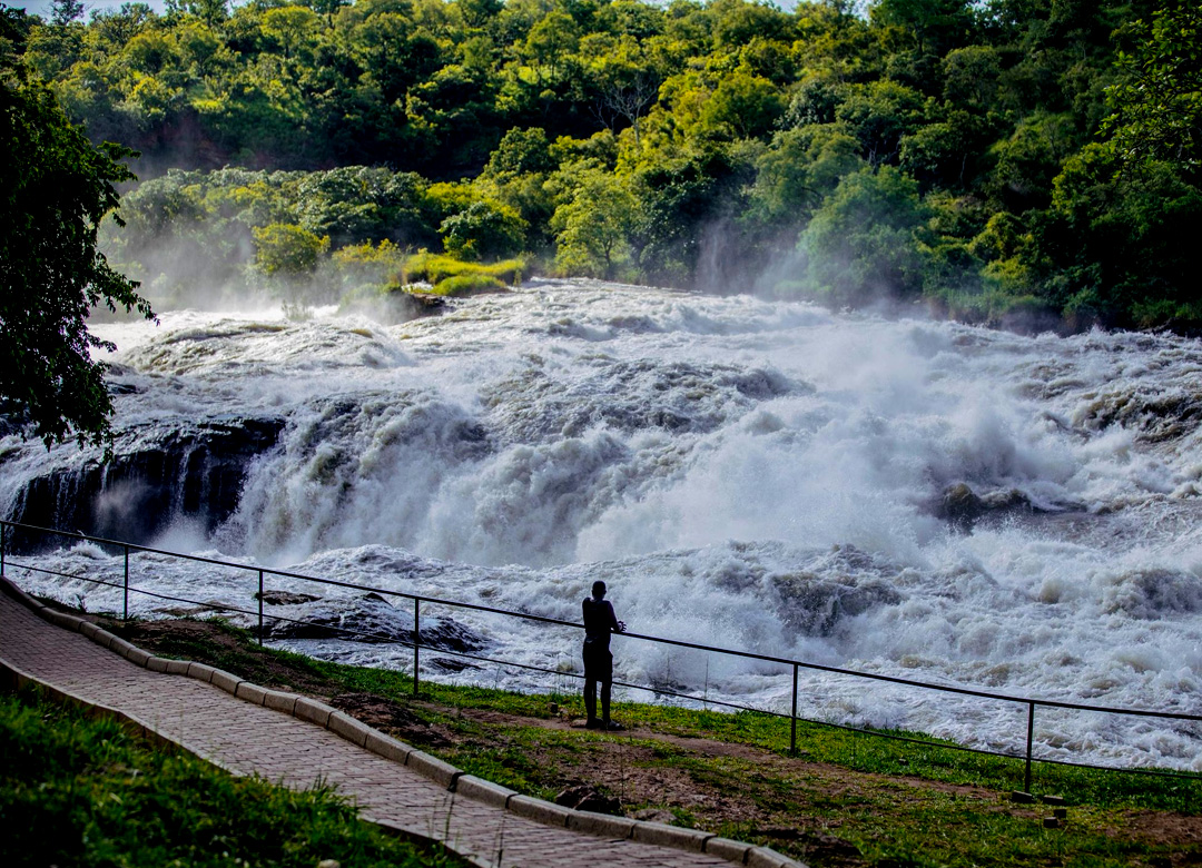 3-days-murchison-falls-rhino-tracking-tour