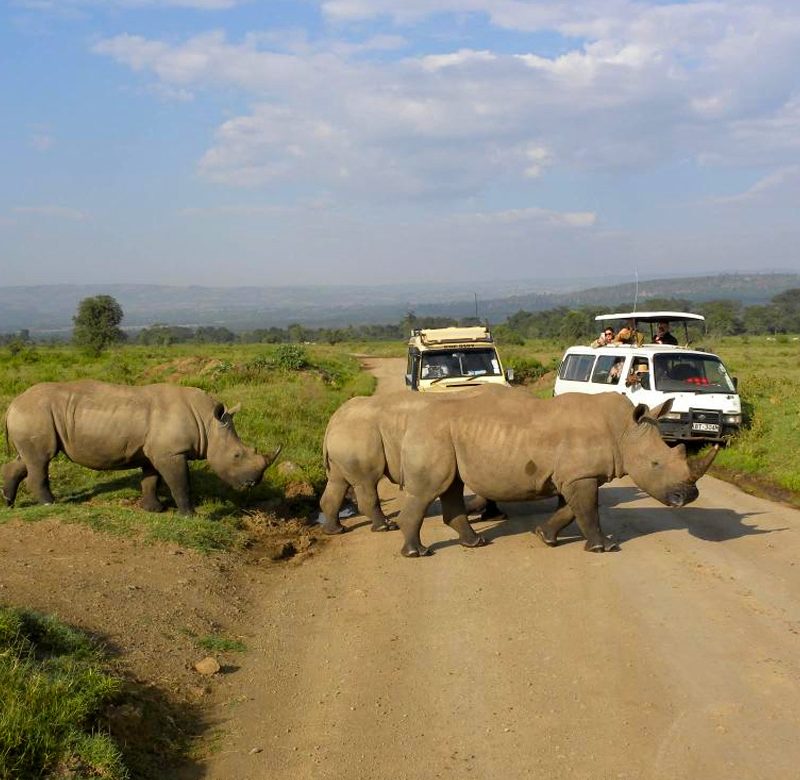 5-days-kenya-classic-safari-adventure