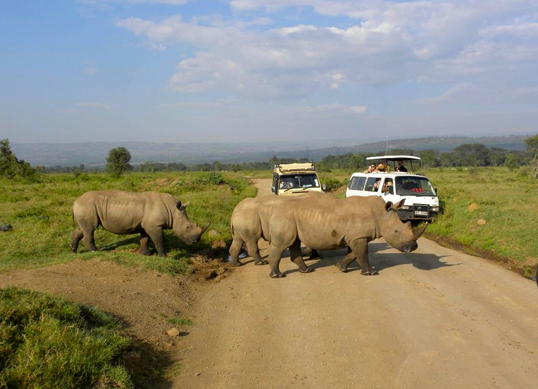 5-days-kenya-classic-safari-adventure