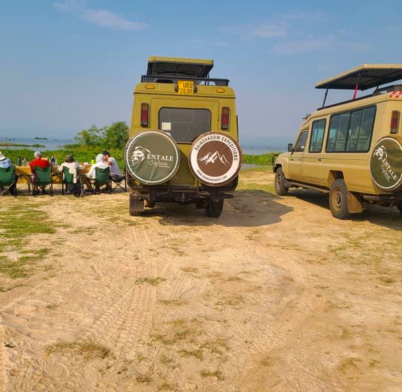 8-days-best-of-uganda-wildlife-safari