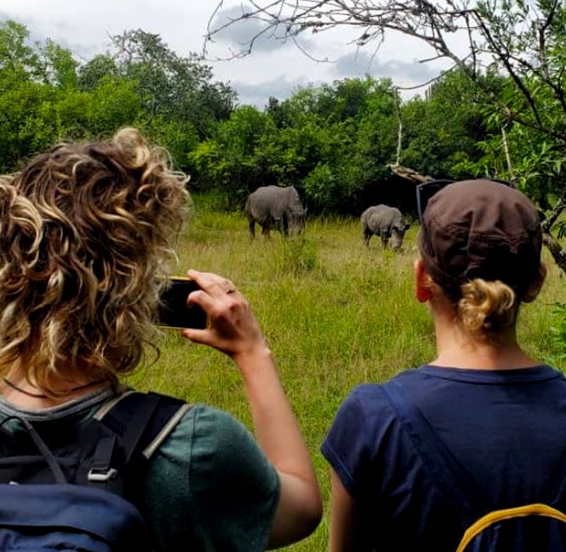 10-days-uganda-big-fives-chimpanzee-habituation-and-gorilla-safari