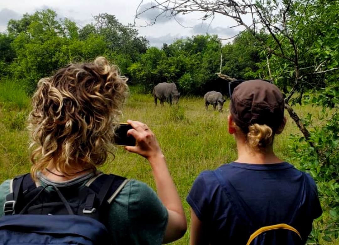 10-days-uganda-big-fives-chimpanzee-habituation-and-gorilla-safari