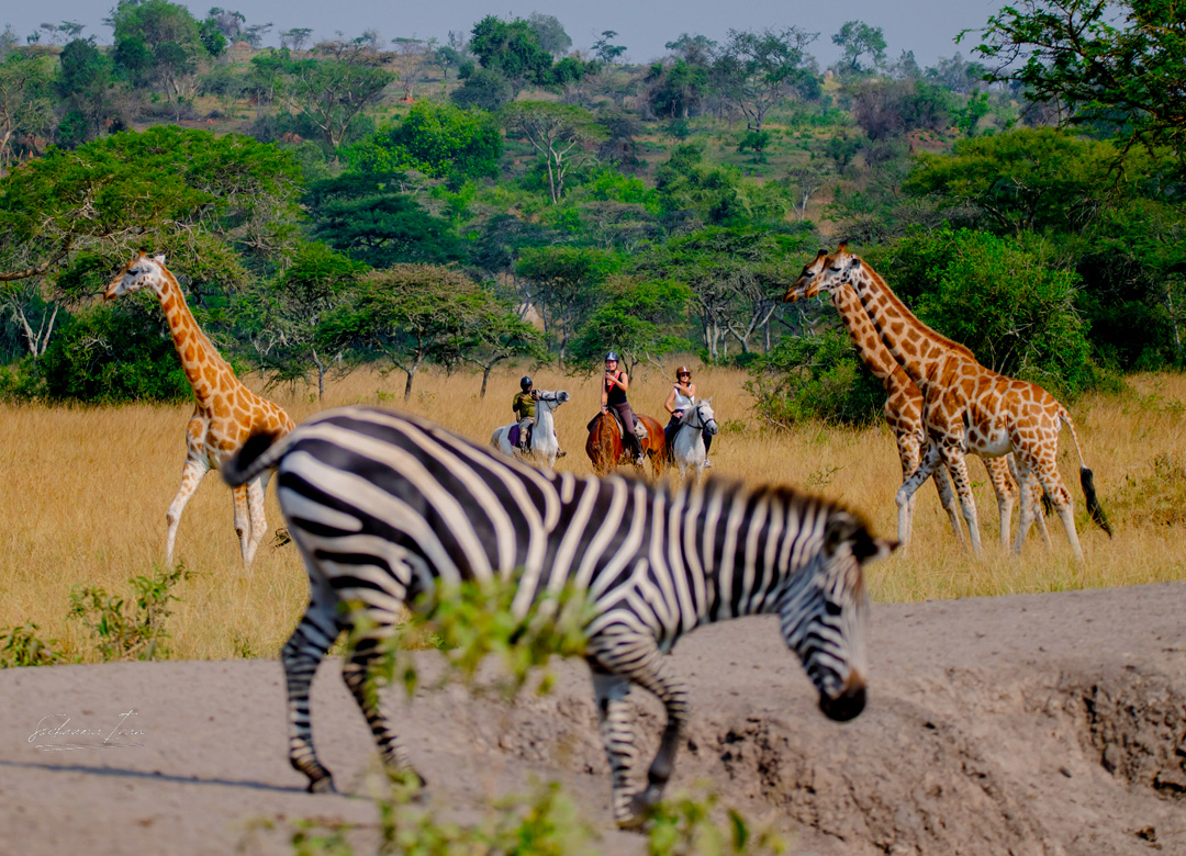 3-days-safari-to-lake-mburo-national-park
