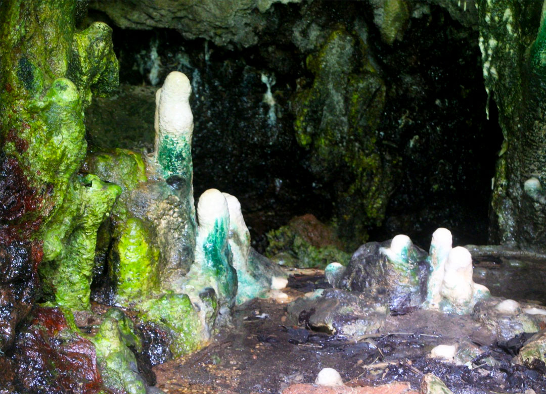 4-days-chimpanzee-tracking-safari-to-uganda