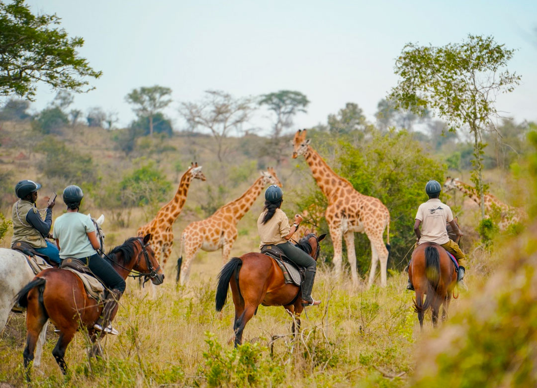 4-days-wildlife-safari-to-lake-mburo-safari