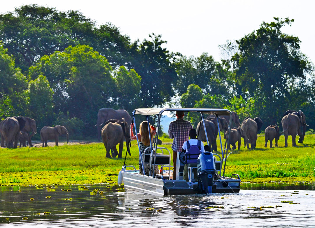 5-days-chimpanzee-wildlife-safaris-to-uganda