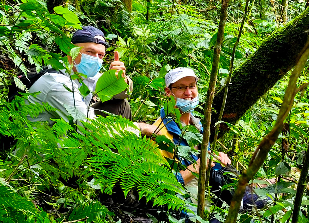 5-days-gorilla-and-chimpanzee-tracking-safari-to-uganda