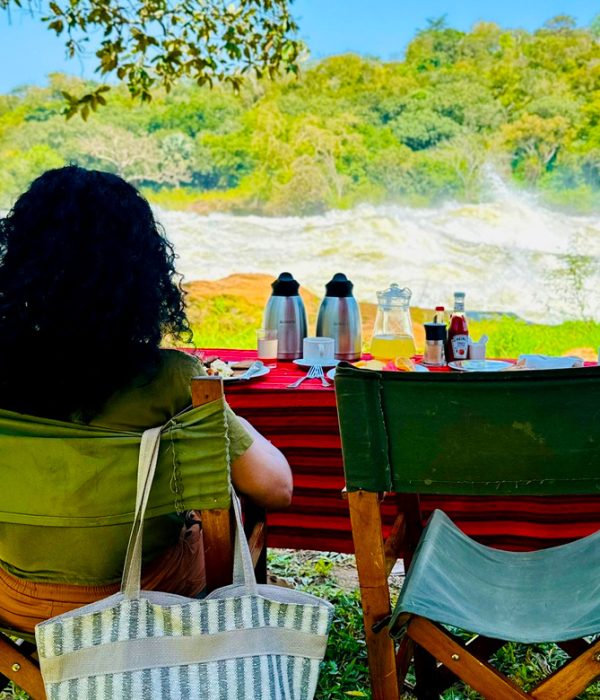 bush breakfast on safari