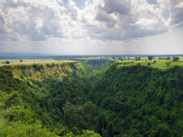 Chimpanzee Trekking in Kyambura Gorge