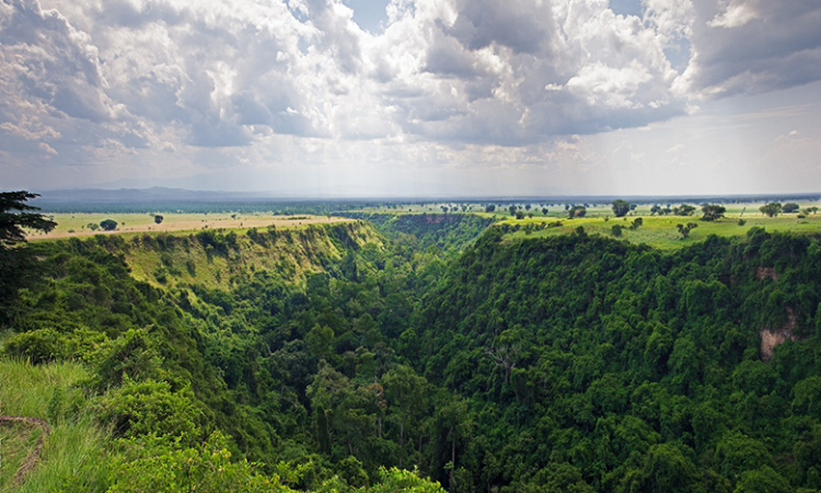 Chimpanzee Trekking in Kyambura Gorge