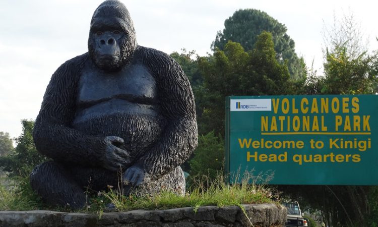 5 Days Rwanda Gorilla and Wildlife Safari