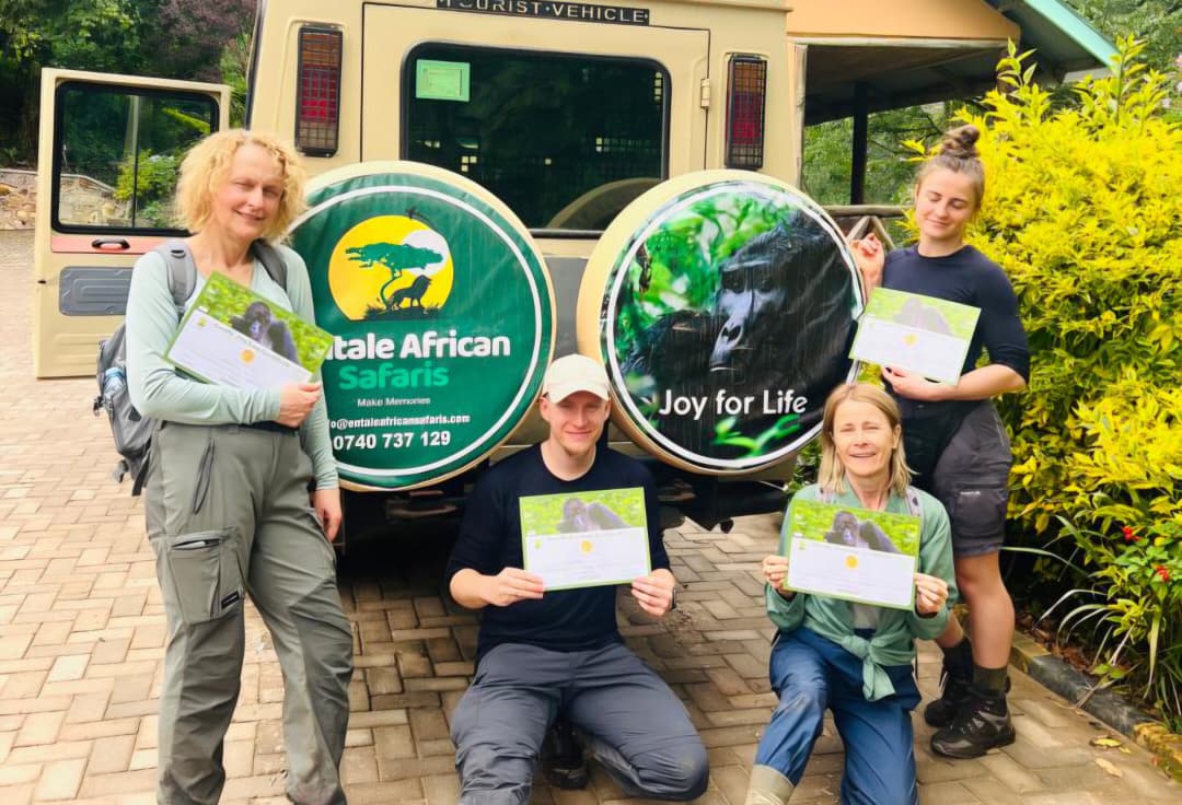 What Is the Best Region for Gorilla Trekking in Uganda