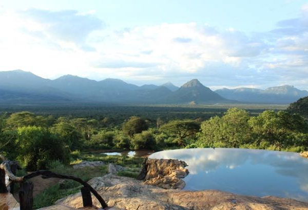 Wellness Safaris in East Africa: Where Adventure Meets Mindful Travel