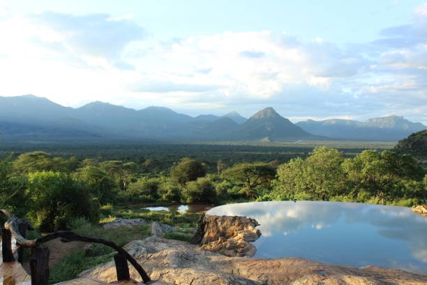 Wellness Safaris in East Africa: Where Adventure Meets Mindful Travel