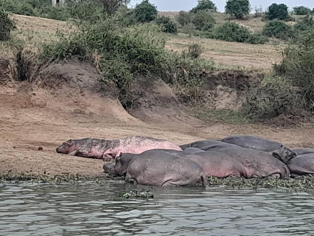 Kazinga Channel Uganda