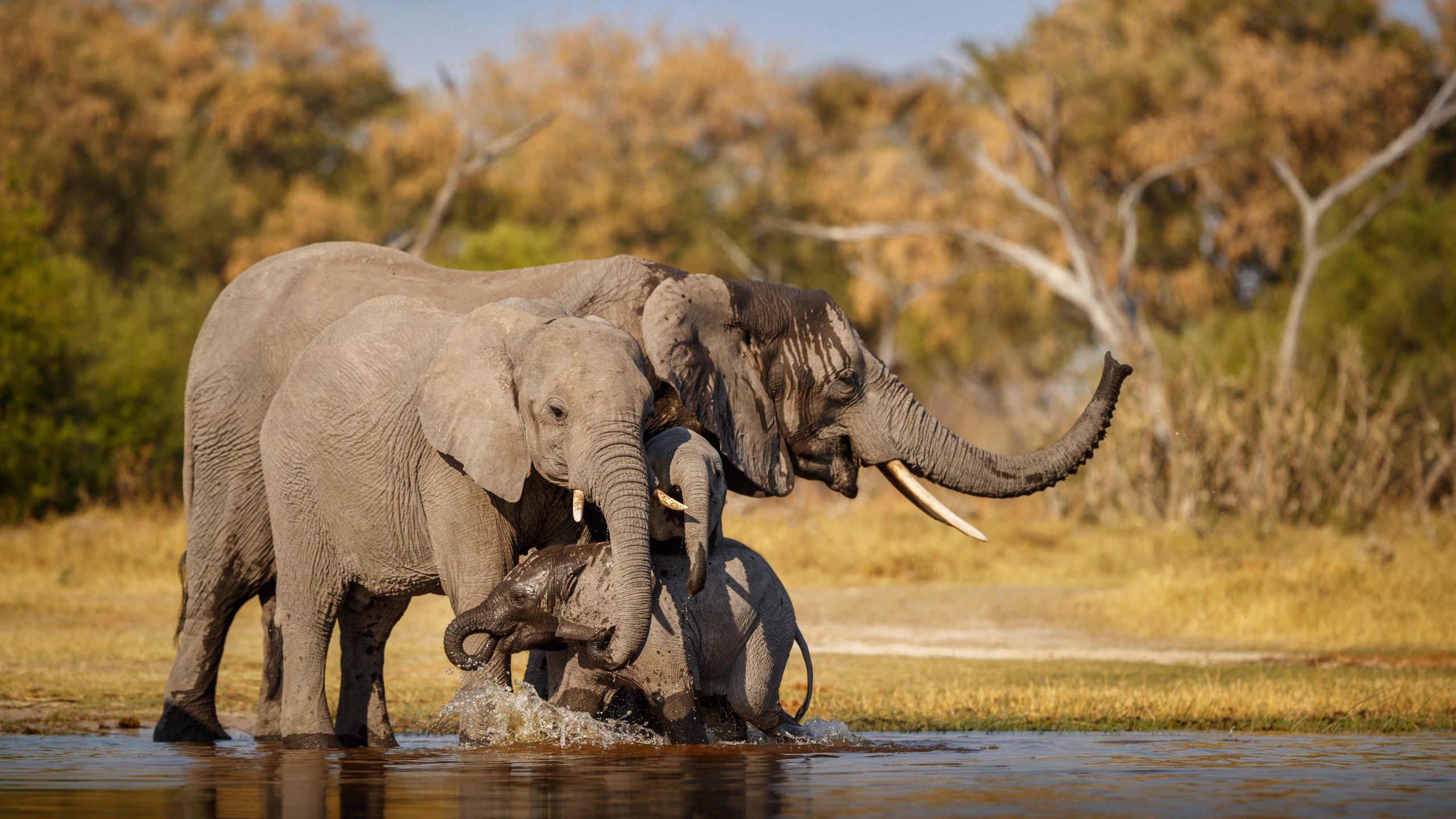 Mara River lunch
