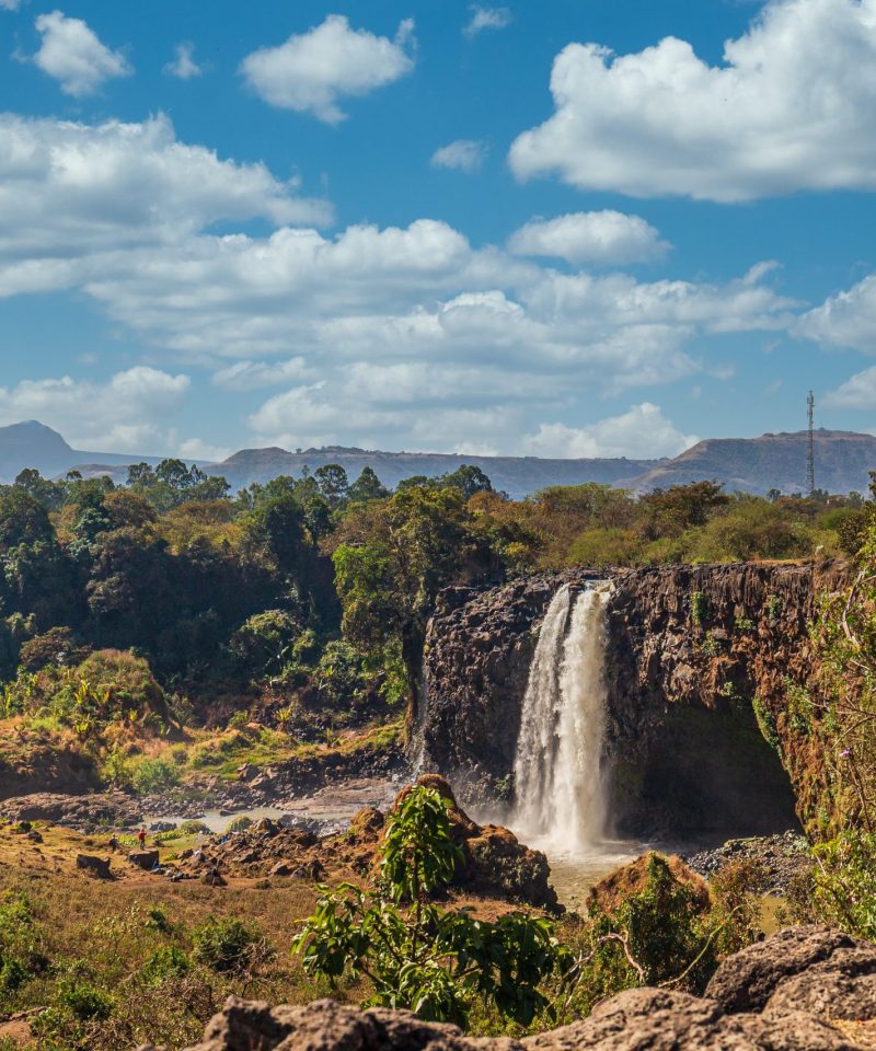 Nanyuki Forest & Waterfall Tour